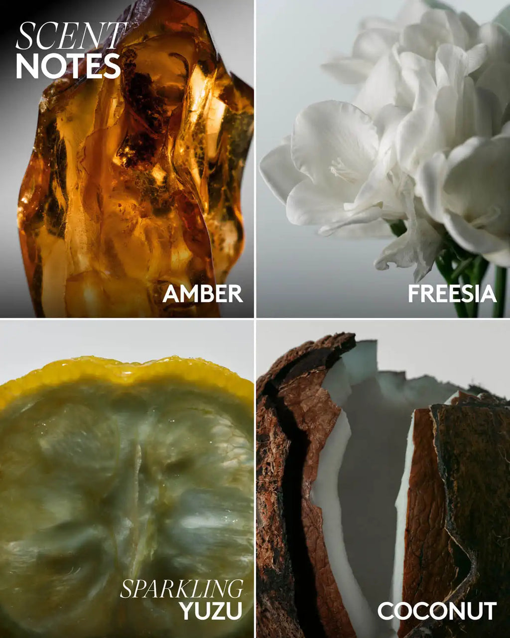 Butta Drop Hydrating Body Milk — Amber Bouquet